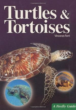 Turtles and Tortoises  by Vincenzo Ferri