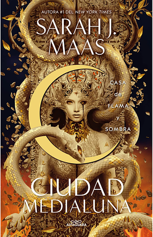 Casa de Flama Y Sombra / House of Flame and Shadow by Sarah J. Maas