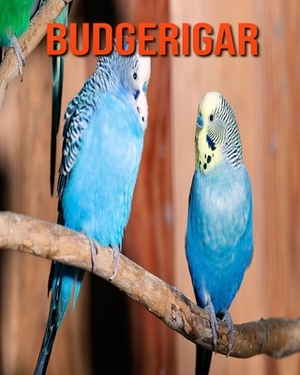 Budgerigar: Learn About Budgerigar and Enjoy Colorful Pictures by Diane Jackson