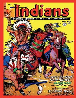 Indians #13 by Fiction House