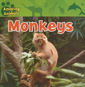 Monkeys by Christina Wilsdon