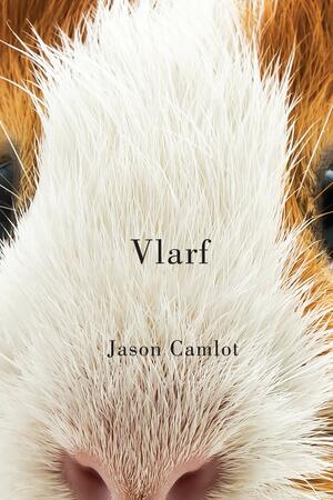 Vlarf by Jason Camlot