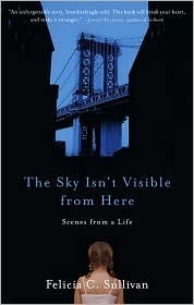 The Sky Isn't Visible from Here by Felicia C. Sullivan