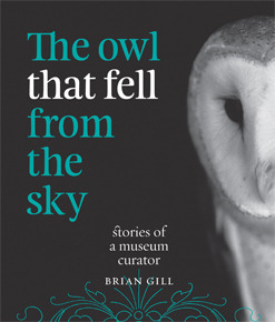 The Owl that Fell from the Sky - Stories of a Museum Curator by Brian Gill
