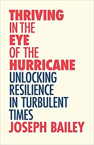 Thriving in the Eye of the Hurricane: Unlocking Resilience in Turbulent Times (Find Your Inner Strength) by Joseph Bailey MA LP, Michael Neill