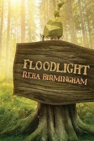 Floodlight by Reba Birmingham