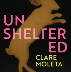 Unsheltered by Clare Moleta