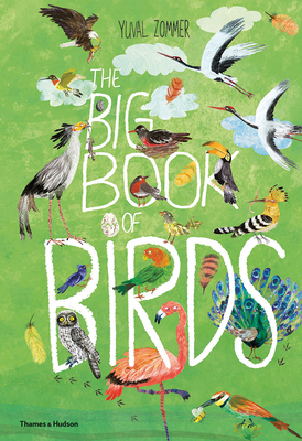 The Big Book of Birds by Yuval Zommer