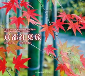 Amazing Autumn Colors in Kyoto by Katsuhiko Mizuno