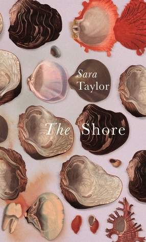 The Shore by Sara Taylor