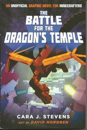 The Battle for the Dragon's Temple by Cara J. Stevens