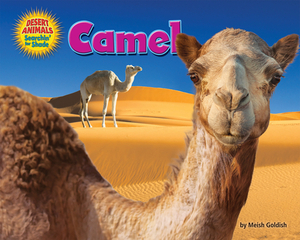 Camel by Meish Goldish