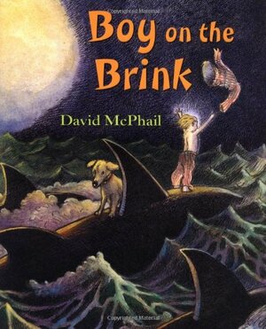 Boy on the Brink by David McPhail