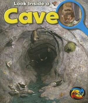 Look Inside a Cave by Richard Spilsbury