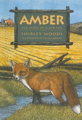 Amber: The Red Story of a Red Fox by Celia Godkin, Shirley E. Woods