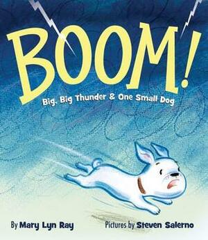 BOOM!: Big Big Thunder & One Small Dog by Mary Lyn Ray, Steven Salerno