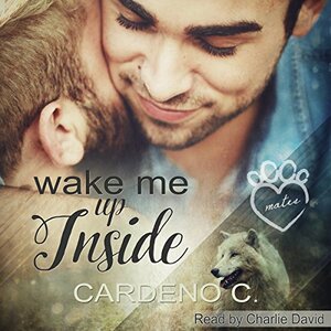 Wake Me Up Inside by Cardeno C.