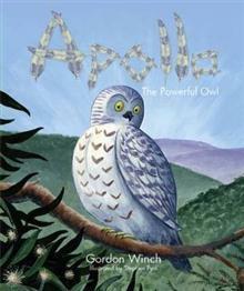 Apollo the powerful owl by Gordon Winch