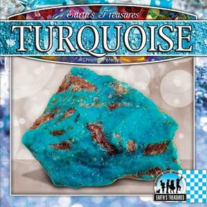 Turquoise by Christine Petersen