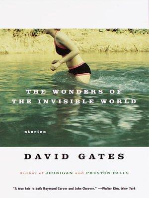 The Wonders of the Invisible World by David Gates