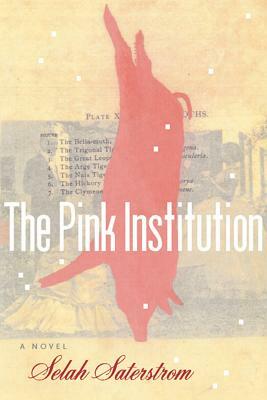 The Pink Institution by Selah Saterstrom