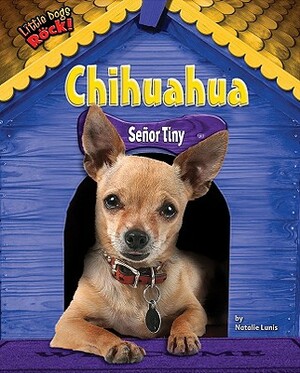 Chihuahua: Senor Tiny by Natalie Lunis