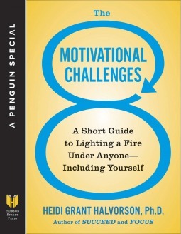 The 8 Motivational Challenges by Heidi Grant Halvorson