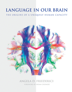 Language in Our Brain: The Origins of a Uniquely Human Capacity by Angela D. Friederici