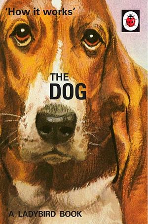 How It Works: The Dog by Joel Morris, Jason Hazeley