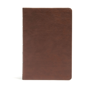 CSB Seven Arrows Bible, Brown Leathertouch by Csb Bibles by Holman