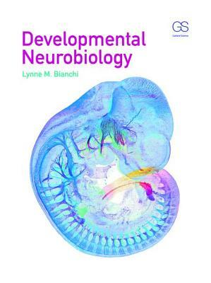 Developmental Neurobiology by Lynne Bianchi