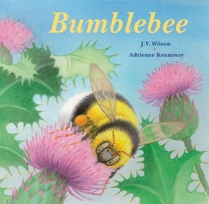 Bumblebee by Adrienne Kennaway, J.V. Wilson