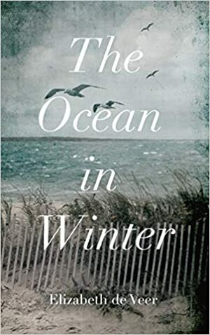 The Ocean In Winter by Elizabeth de Veer