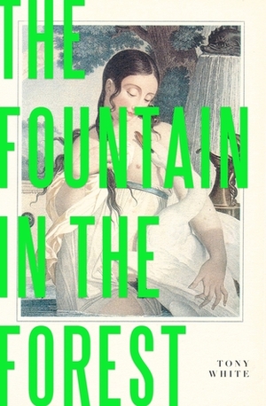 The Fountain in the Forest by Tony White