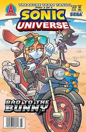 Sonic Universe #23 by Ian Flynn