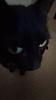 imasheep1908's profile picture