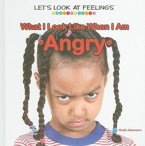 What I Look Like When I Am Angry by Heidi Leigh Johansen