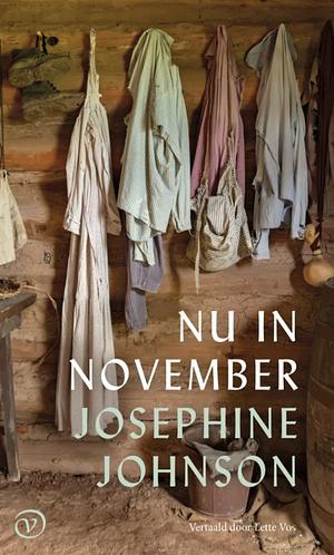 Nu in november by Josephine Winslow Johnson