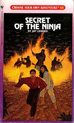 Secret of the Ninja by Jay Leibold