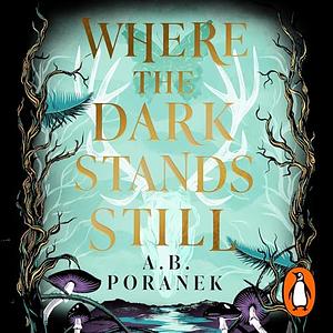 Where the Dark Stands Still by A.B. Poranek