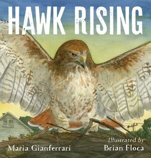 Hawk Rising by Brian Floca, Maria Gianferrari