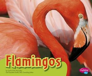 Flamingos by Cecilia Pinto McCarthy