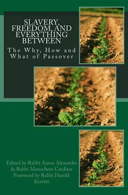 Slavery, Freedom, and Everything Between: The Why, How and What of Passover by Bradley Shavit Artson