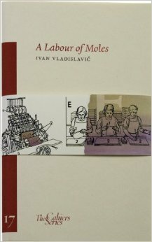 A Labour of Moles by Ivan Vladislavić