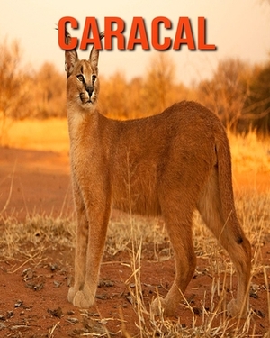 Caracal: Learn About Caracal and Enjoy Colorful Pictures by Diane Jackson