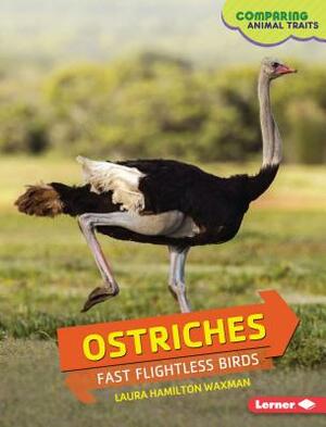 Ostriches by Laura Hamilton Waxman