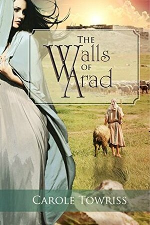 The Walls of Arad by Carole Towriss