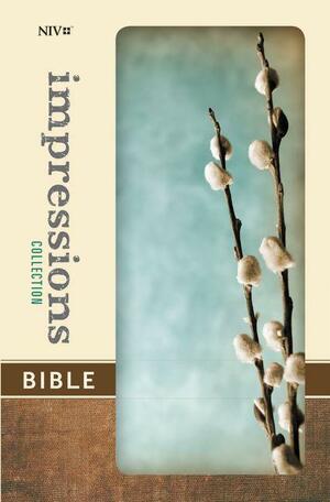 NIV Impressions Collection Bible Ltd by The Zondervan Corporation, The Zondervan Corporation