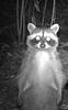 truska's profile picture