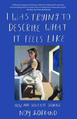 I Was Trying to Describe What It Feels Like: New and Selected Stories by Noy Holland